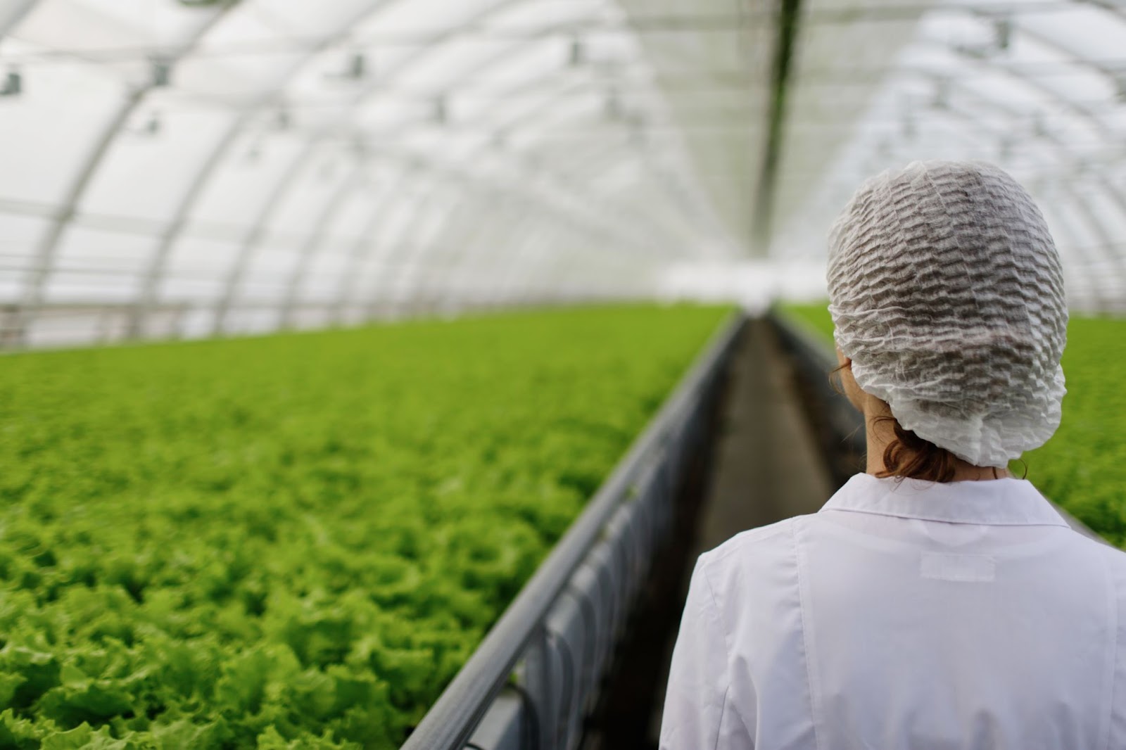 8M: Argentina tendrá un icónico evento para acompañar a las mujeres en la agroindustria